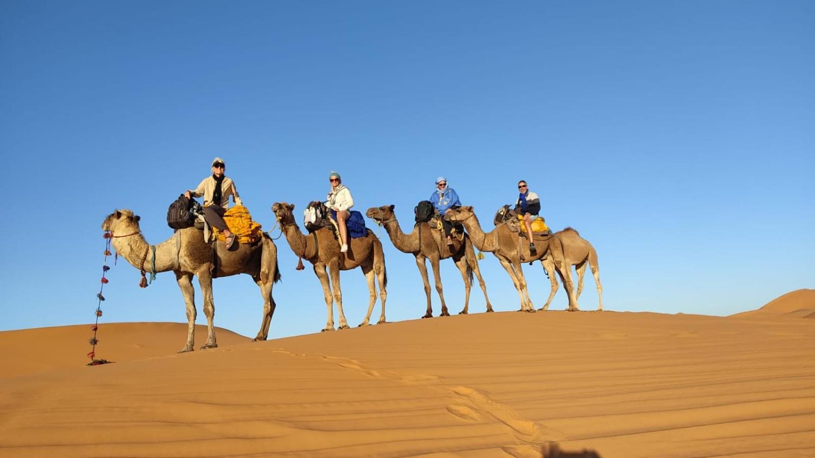 Bed and breakfast Maison Merzouga
