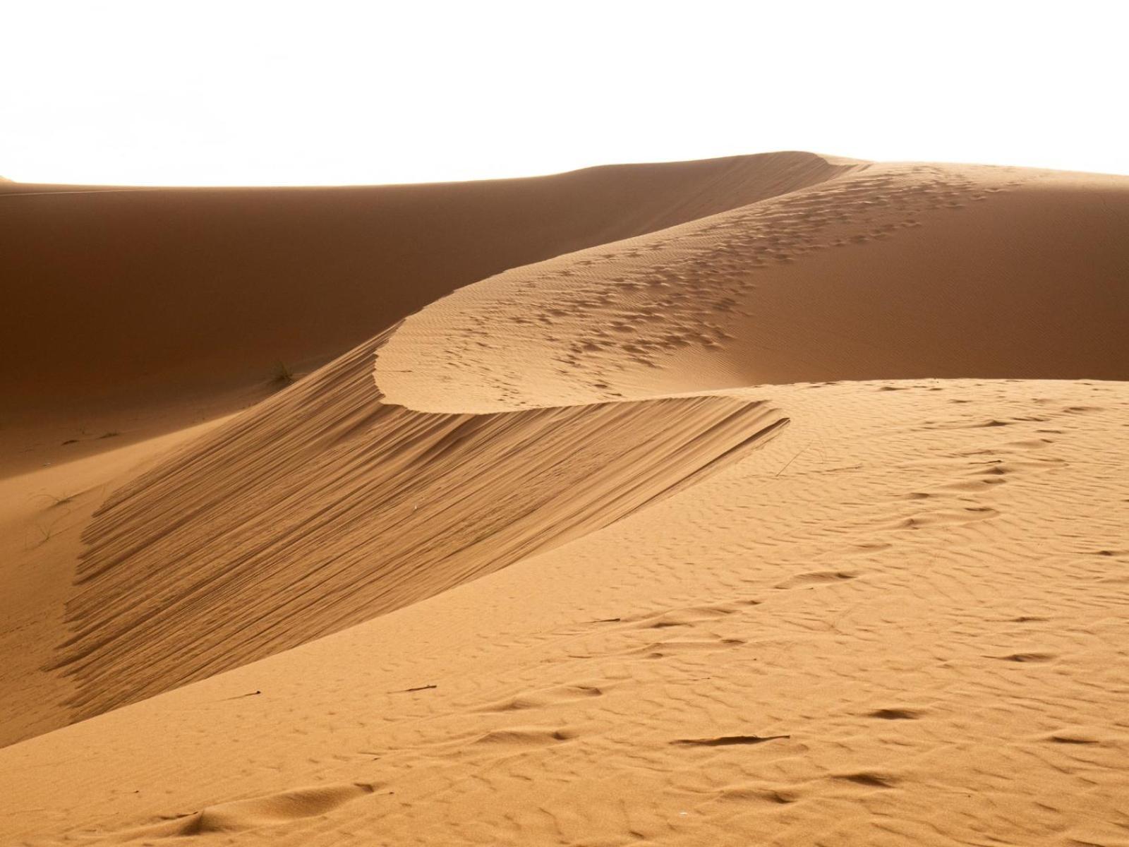 Maison Bed and breakfast Merzouga
